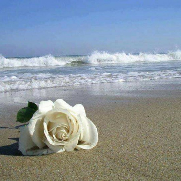 Meet your Posher, Kim - Picture 1 of 1